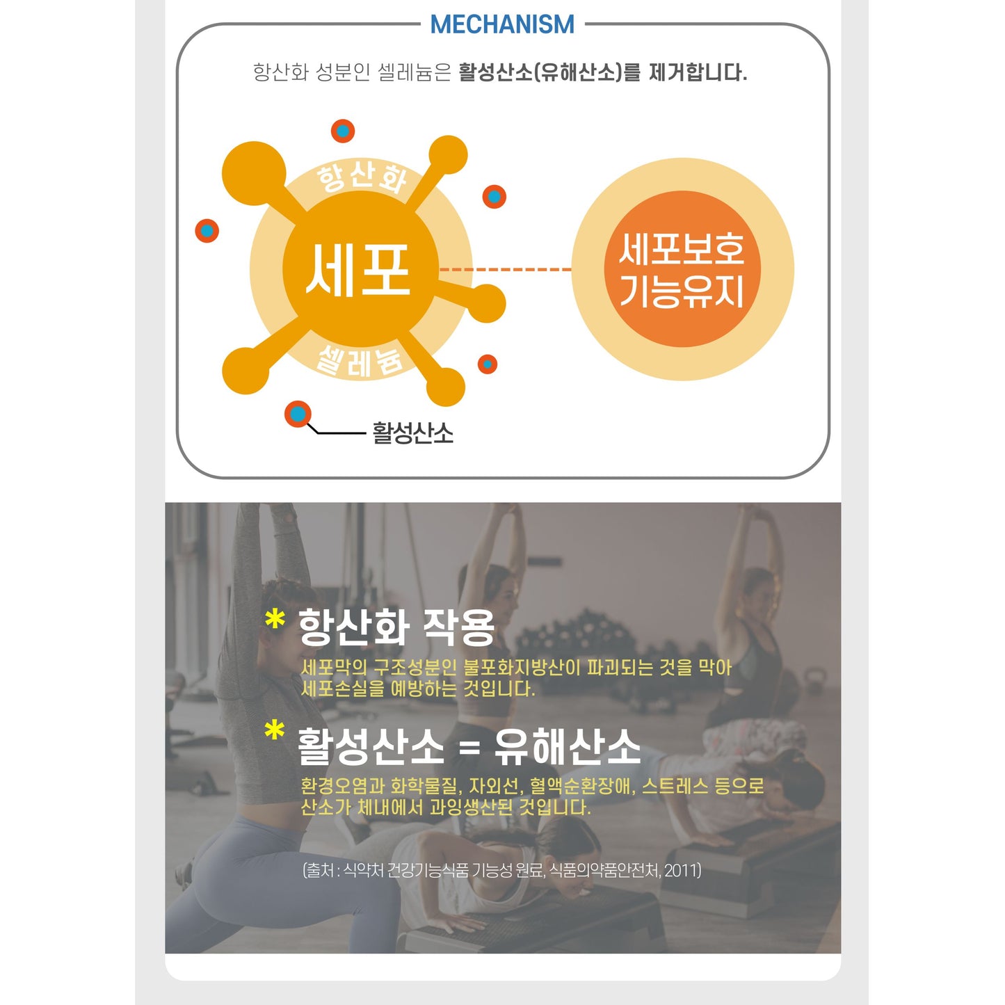 HIMBIONE GOLD ENERGY PRODUCTION AND VITALITY