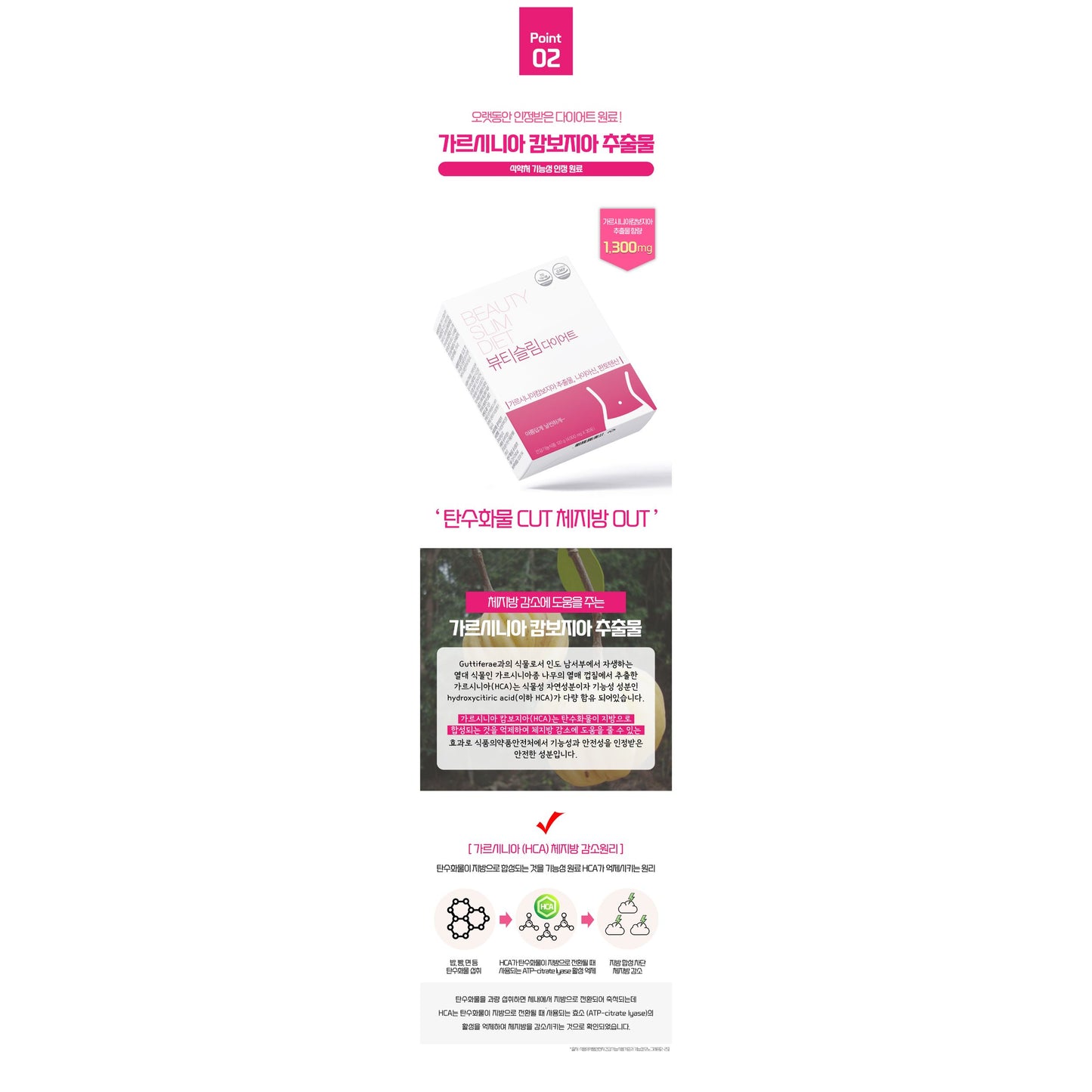 BEAUTY SLIM (CLEANSE) OBESITY DETOX CLEANSE & 8-IN-1 DIET ACTION